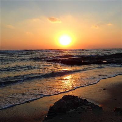 爱游戏APP·官方登录入口(ayx)手机app下载