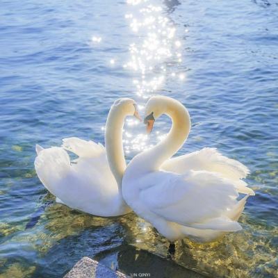 竞猜足球app下载手机版截图