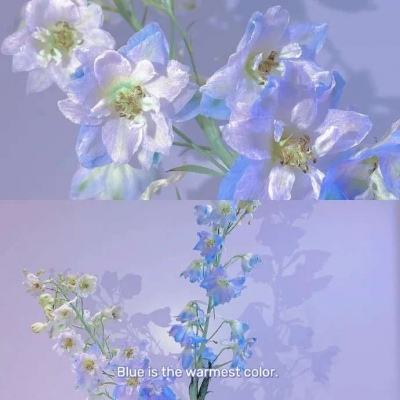 竞猜足球app下载手机版截图