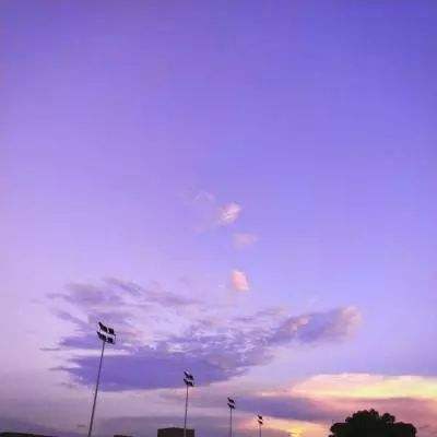 pc蛋蛋官网截图