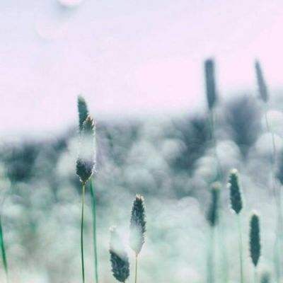 帝一娱乐下载手机版