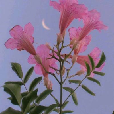 pg娱乐电子游戏手机app下载