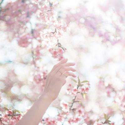 pg电子最新网站入口