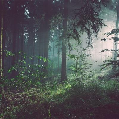 bb平台体育下载